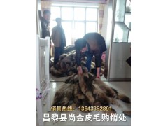 昌黎皮毛动物交易市场