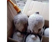 贵州茅台洞藏老坛酒销售