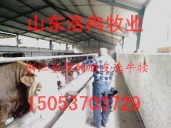 小牛苗小公牛小母牛小毛驴小奶山羊黑山羊青山羊
