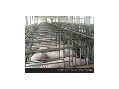 【长白猪】合作社常年出售优质二元三元长白等苗猪仔猪育肥猪