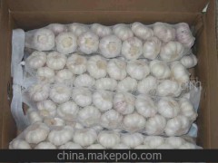 【大蒜】厂家直销，量大价优 大蒜 白皮蒜