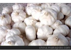 【大蒜】邳州 4.0-6.5cm 优质冷库蒜
