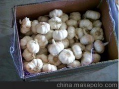 【大蒜】大蒜/ 4.0-6.5 白蒜/超市直供蒜