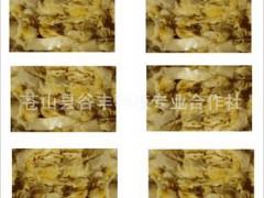【白菜】厂家直销 大量供应 优质无公害白菜