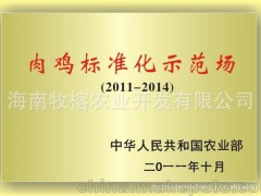海南文昌鸡 椰子鸡
