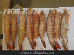 马达加斯加进口大白虾