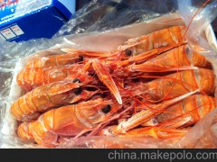 南非海螯虾