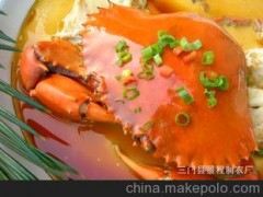 三门青蟹 肉蟹 螃蟹 海鲜 鲜活 蝤蛑 海蟹一只9两以上大公蟹