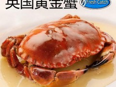 大西洋甜蟹，英国黄金蟹，面包蟹