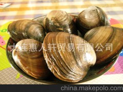 长期供应贝中极品—鲜活北极贝