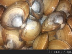 鲜活贝，品种齐、价格优