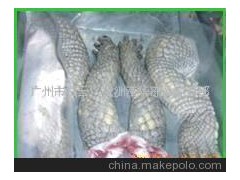 鳄鱼掌 广州清华冻品专业批发真空鳄鱼掌 半皮鳄鱼掌 有鳞鳄鱼掌
