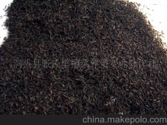 洞头县张氏羊栖菜养殖专业合作社海水养殖/食用藻类—山大麦