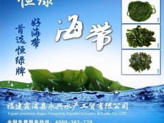 福建霞浦海带 盐渍海带结 泡发率高A B 结出口标准藻类海带加工