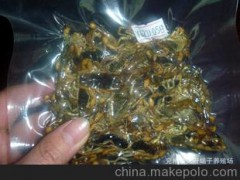 食用蝎子（真空包装，50克散装袋） 65元/袋 兖府蝎子/特种养殖