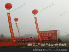 国内较大的青蛙养殖基地，寻求青蛙养殖技术，优选荣平特种养殖