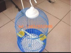 供应动物实验用宠物喂养用的猫狗鼠鸡鸭鹅鸟家禽飞禽小动物笼子