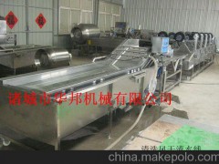 全自动叶菜清洗机  蔬菜清洗机价格 净菜加工设备厂家直销