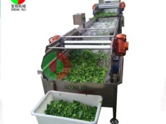 广东笙辉 叶菜瓜果清洗机 涡流高压气泡臭氧消毒清洗机蔬菜洗菜机