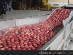 供应诸城汇康QX-6米叶菜清洗机  蔬菜清洗机定做  清洗机介绍