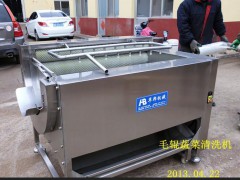HB-2000毛辊蔬菜清洗机  专门清洗土豆胡萝卜等根茎类蔬菜