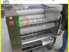 笙辉牌瓜果毛辊清洗脱皮机 根茎类蔬菜去皮机