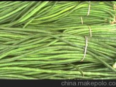 瓜类蔬菜叶类蔬菜时蔬番茄土豆等蔬菜