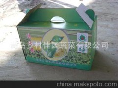 大量供应 白菜花 花菜类 白菜 甘蓝 土豆 大葱 蔬菜种子白菜