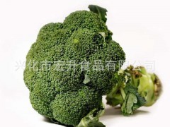 厂家供应 优质脱水西兰花 绿花菜 AD脱水蔬菜 AD脱水蔬菜粉