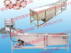 供应山东潍坊新鲜蔬菜气泡清洗机.菌类气泡清洗机.水产品清洗机器