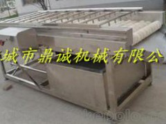 蔬菜加工清洗设备/菌类设备清洗