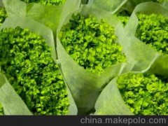 大量供应各种云南鲜花