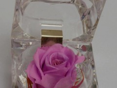 保鲜花玫瑰花戒指盒装套。保鲜花