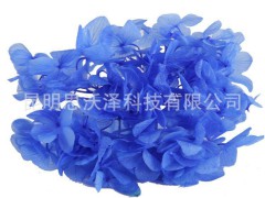 Preserved Flower 永生花 大叶绣球 出口品质 厂家直销 保鲜花