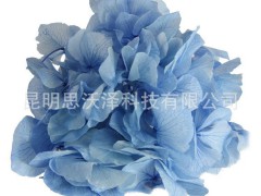 Preserved Flower 永生花 叶脉绣球 出口品质 厂家直销 保鲜花