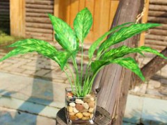 绿跃 仿真花绿植盆栽玻璃盆一帆风顺T019