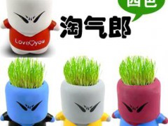 淘气郎草娃娃盆栽/迷你植物陶瓷盆景盆栽/办公室绿植 地摊热销