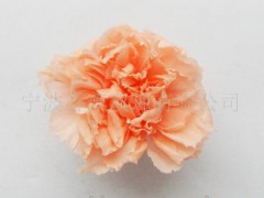 外贸保鲜花-亮蓝色康乃馨