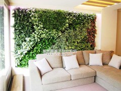 提供室内植物墙 室内仿真植物墙  武汉创天下艺术景观