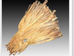 l供应 正品热销 水葫芦草 草类 价格从优 来电订购