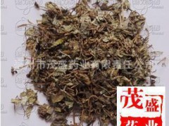 安国中药材中草药中药植物原药材批发小叶金钱草