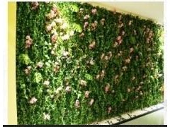 深圳江南园艺仿真植物墙