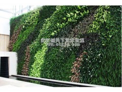 供应武汉植物墙  武汉仿真植物墙  绿植墙  武汉创天下艺术景观