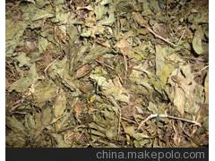 安国中药材中草药中药植物原药材批发车前草代打粉