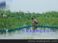 生态浮岛 生态浮岛水质净化效果 生态浮岛种植水生植物