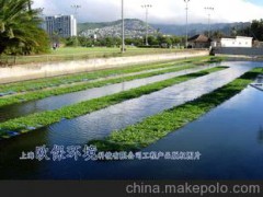 生态浮田板 新农村生活污水处理 生物浮岛 水生植物净化水
