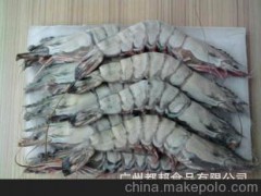 野生10条大草虾 越南虎虾