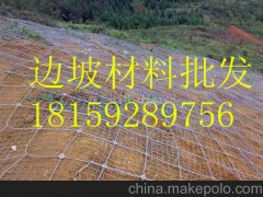 供应湖南郴州永州怀化攀爬植物 葛藤 紫藤 油麻藤 爬山虎批发