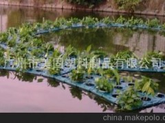 水生植物浮床 1--9