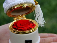陶瓷盒保鲜花、七夕情人节创意礼物、盛开5年不凋玫瑰、真空鲜花
